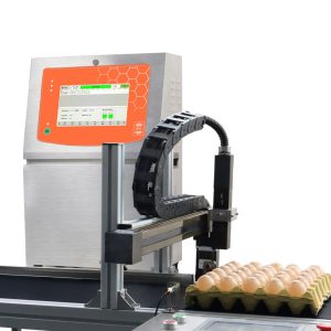 Egg inkjet printer