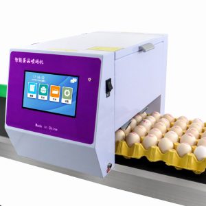 Six head egg inkjet printer