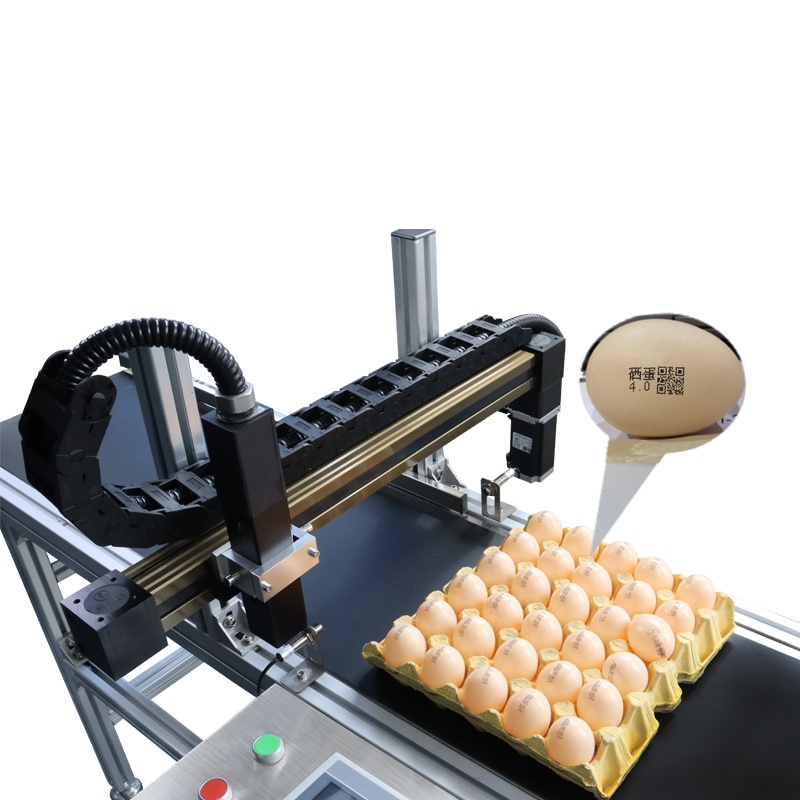 Small character egg printer