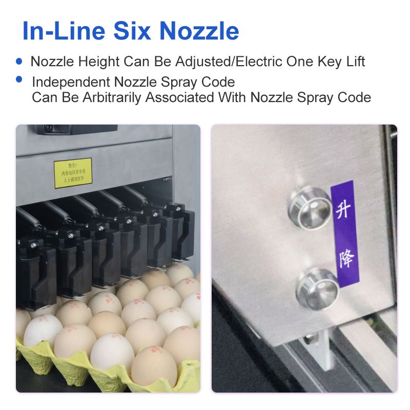 Six head egg inkjet printer（D100-6）