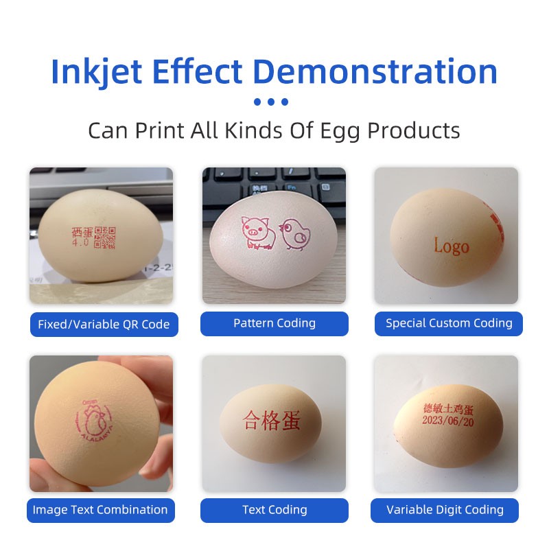 Six head egg inkjet printer（D100-6）